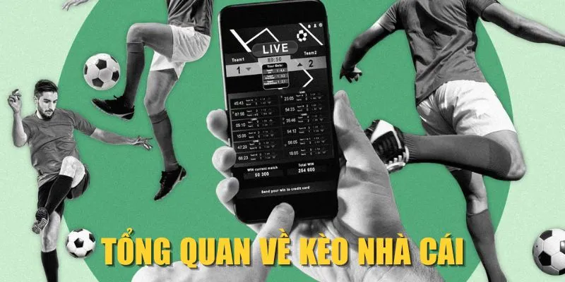 Tổng quan về kèo nhà cái